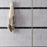 Terra Firma Glazed Bricks